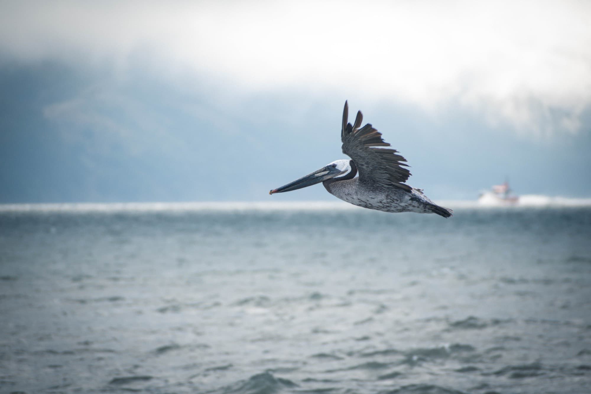San Francisco - Fisherman's Wharf, USA