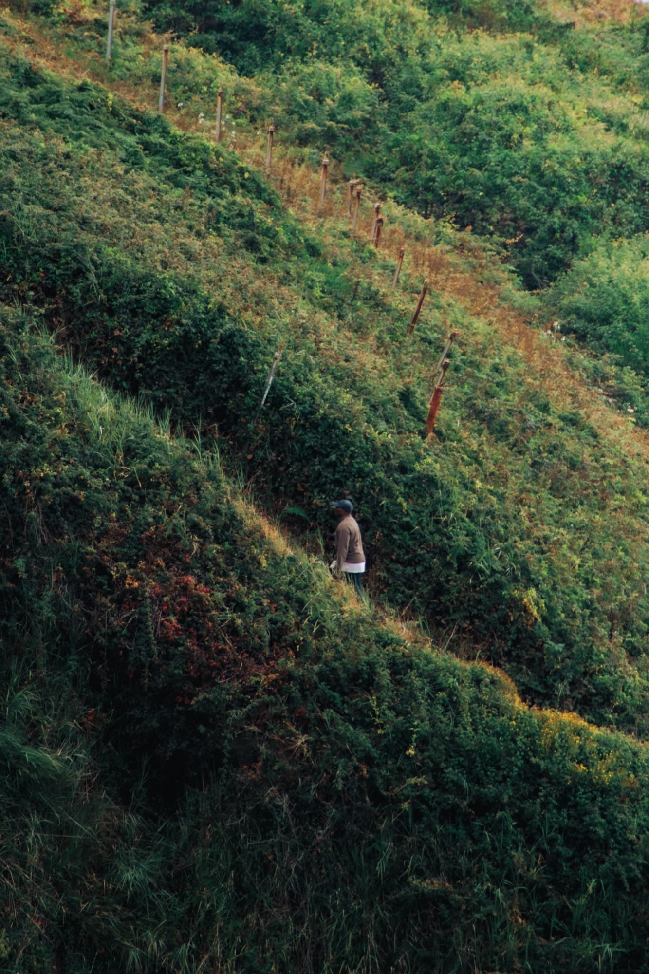 San Francisco, California