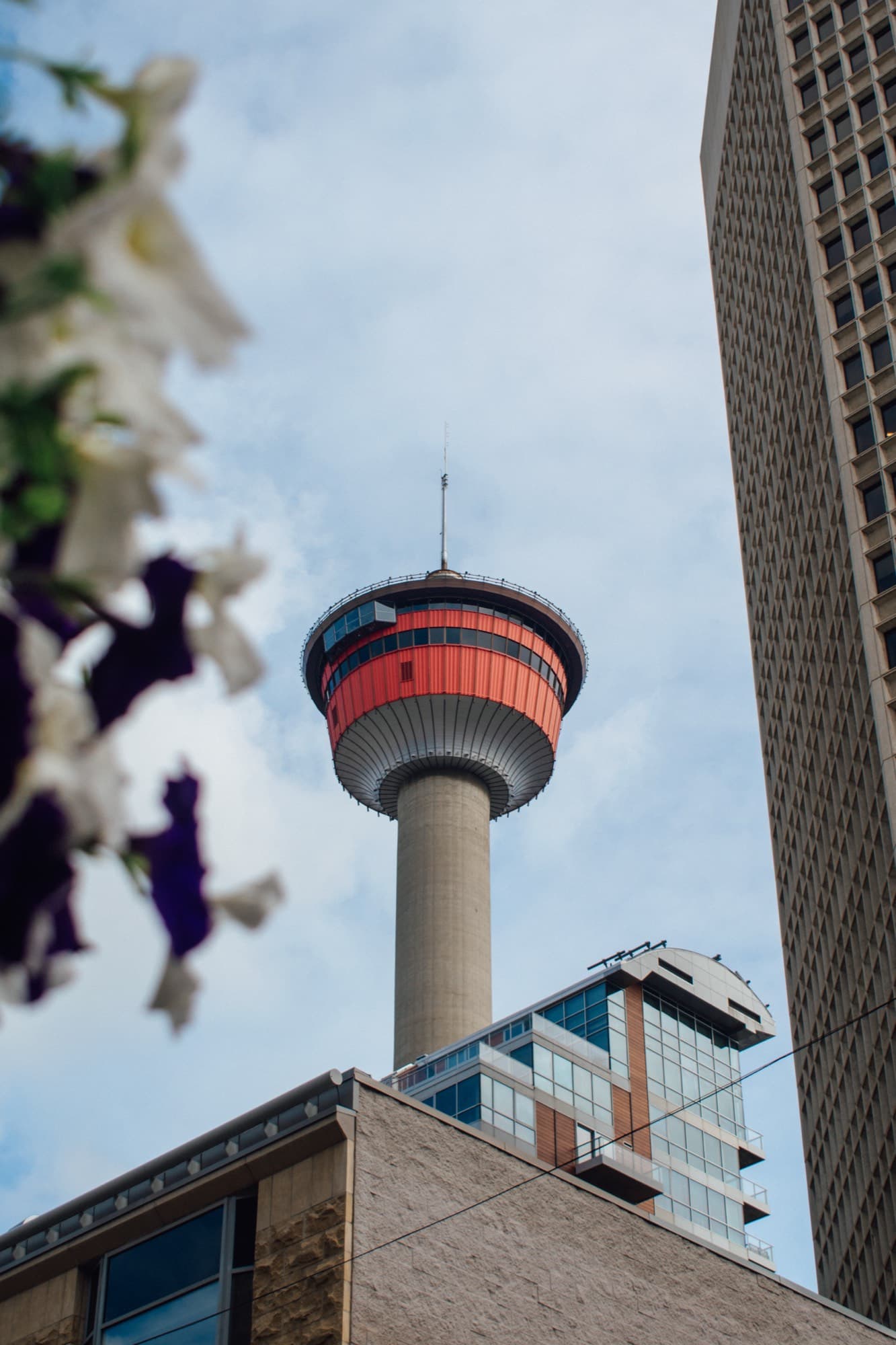 Calgary - Alberta, Canada