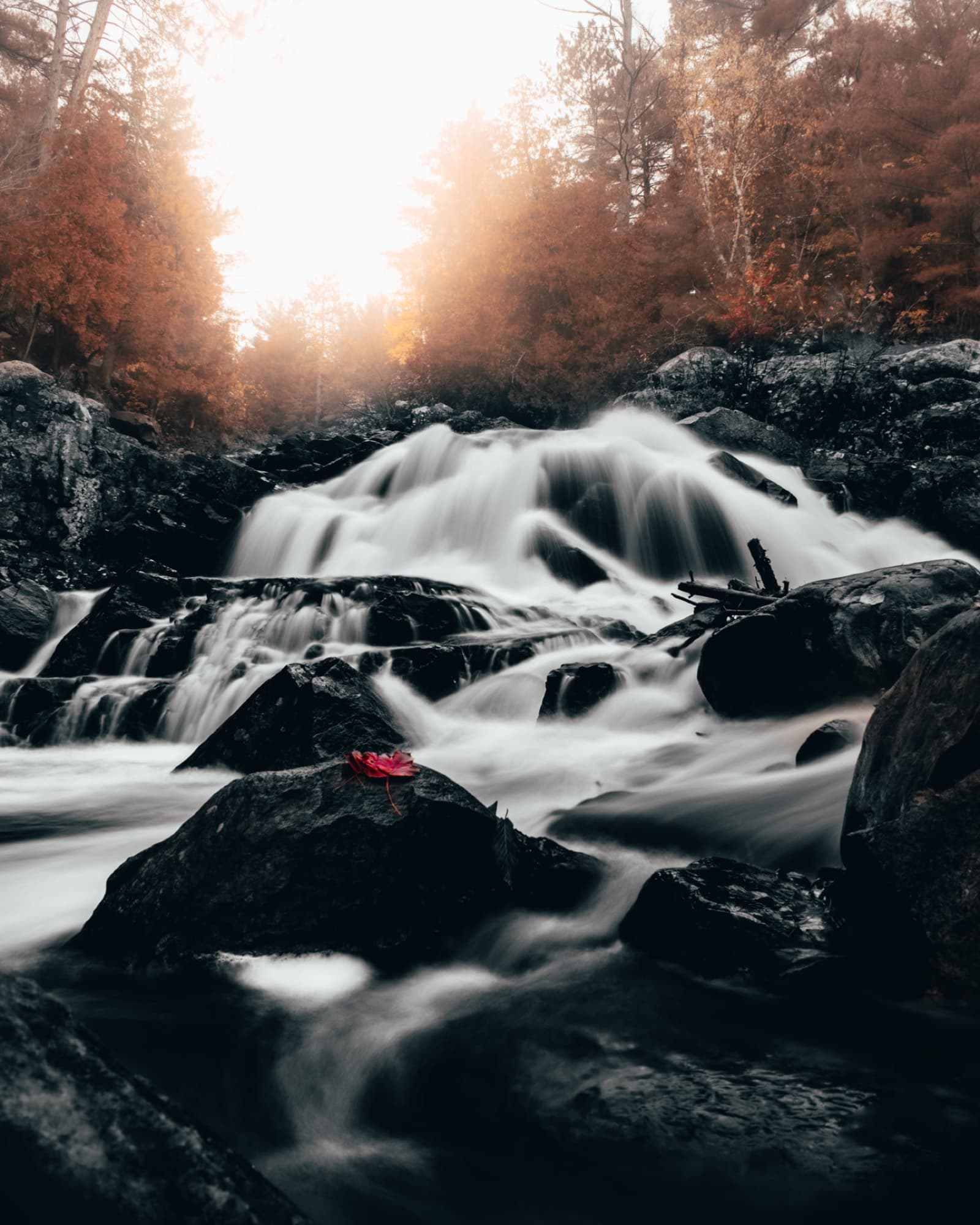 Kawartha Lakes, Canada